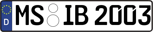 MS-IB2003