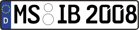 MS-IB2008