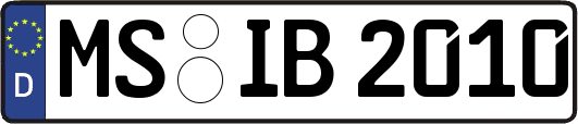 MS-IB2010
