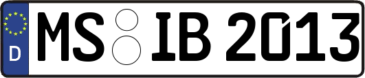 MS-IB2013