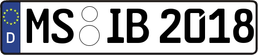 MS-IB2018