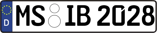MS-IB2028