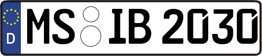 MS-IB2030