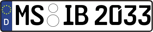 MS-IB2033