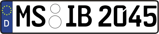 MS-IB2045