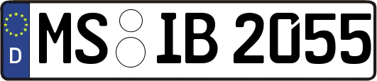 MS-IB2055