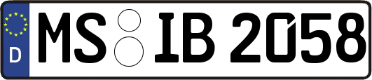 MS-IB2058