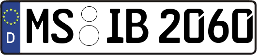 MS-IB2060