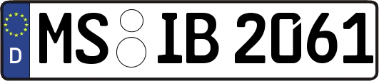 MS-IB2061