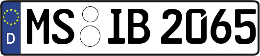 MS-IB2065