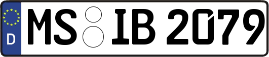 MS-IB2079