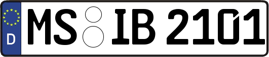 MS-IB2101