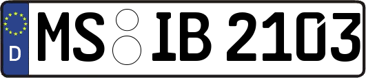MS-IB2103