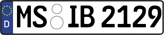 MS-IB2129