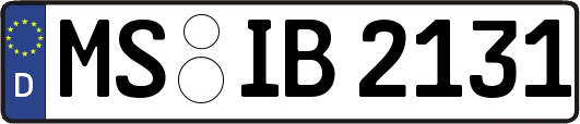 MS-IB2131