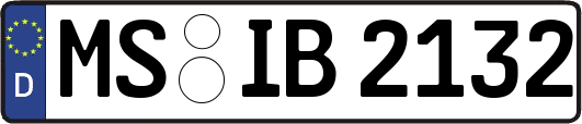 MS-IB2132