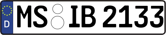MS-IB2133