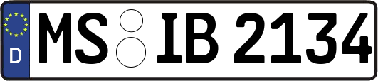 MS-IB2134