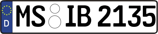 MS-IB2135