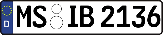 MS-IB2136