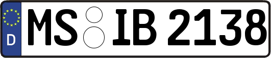 MS-IB2138