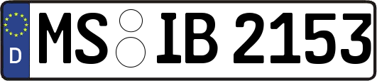 MS-IB2153