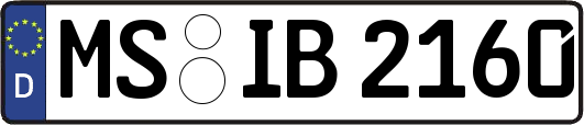 MS-IB2160
