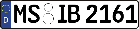 MS-IB2161