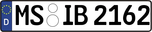 MS-IB2162