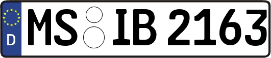 MS-IB2163