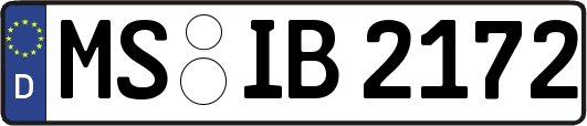 MS-IB2172