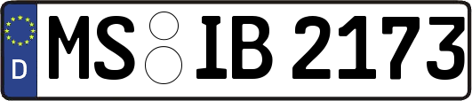 MS-IB2173
