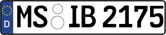 MS-IB2175
