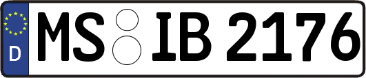 MS-IB2176