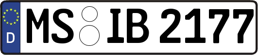MS-IB2177