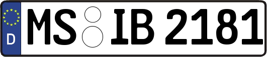 MS-IB2181