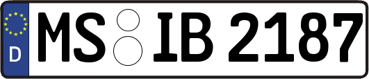 MS-IB2187