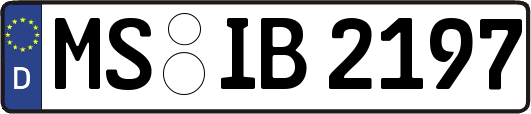 MS-IB2197