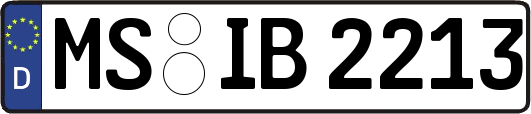 MS-IB2213
