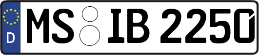MS-IB2250