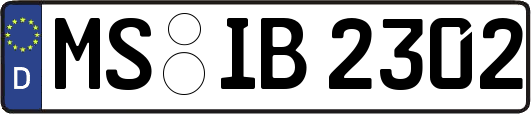 MS-IB2302