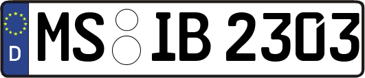 MS-IB2303
