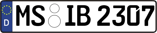 MS-IB2307