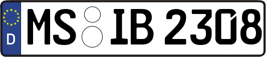 MS-IB2308