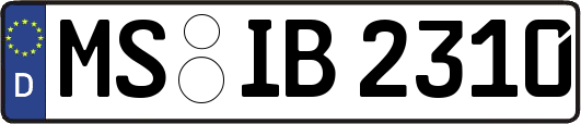 MS-IB2310
