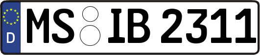 MS-IB2311