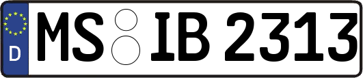 MS-IB2313