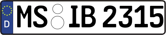 MS-IB2315