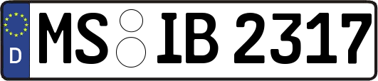 MS-IB2317