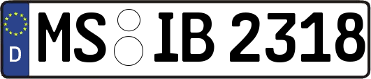 MS-IB2318